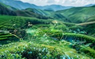 茶山生态信息化与财务咨询招聘