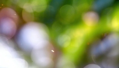 凝结，洱源信息咨询服务中心·专业与智慧的完美融合