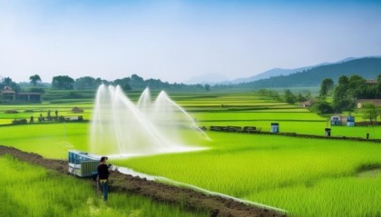 宿迁信息技术助力乡村振兴，成功案例分享