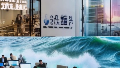 大连渤海信息咨询服务，机遇与挑战