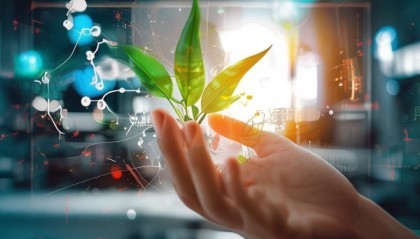 赞竹信息技术咨询，助力企业数字化转型的智慧之手