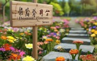 花开信息咨询服务，助力您的成功