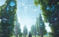 柏有，信息技术咨询领域的创新与未来