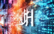中瑞咨询有限公司，信息化时代的生命线战略