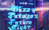 江安鑫扬信息咨询服务部，fuzzy county的未来之光