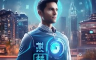 奉贤信息咨询服务，机遇与挑战