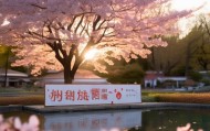 静待花开—景泰信息咨询服务中心开启新纪元