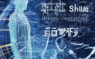 新锐信息咨询服务，重塑社会信息秩序的突破者