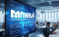 曼睿信息技术咨询，其优势与挑战解析
