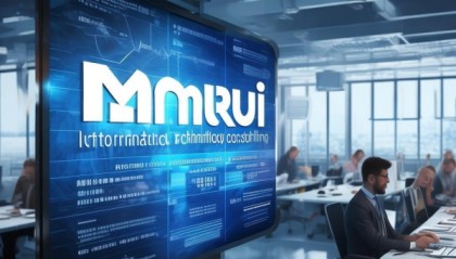 曼睿信息技术咨询，其优势与挑战解析