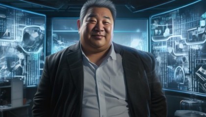肥佬梁信息技术咨询，助力企业数字化转型的智慧之光
