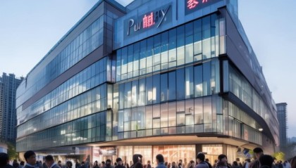 重庆普银，信息技术咨询领域的领导者