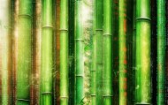 赞竹信息技术咨询，垃圾与机遇并存