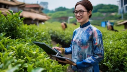 厦门信息化茶叶咨询，助力厦门茶叶产业的数字化转型