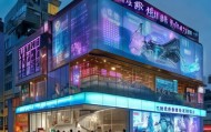 走进益阳信息咨询服务，在数字赋能中实现高质量发展