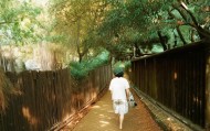 杨海军，信息咨询服务领域的创新者