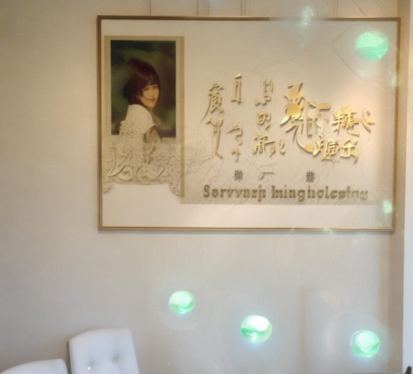 李银铃信息咨询服务,正气铭心,服务创新 李银铃信息咨询服务,正气铭心,服务创新