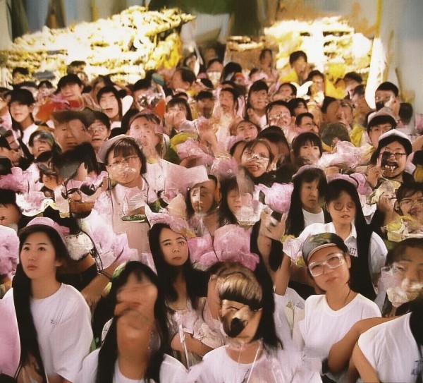 智创未来，咨询不止—妙善咨询服务中心招聘信息