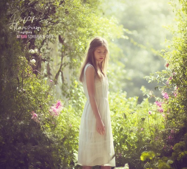 小梅，从专业到自由的解决方案的另一面