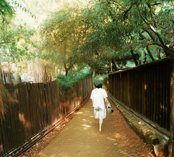 杨海军,信息咨询服务领域的创新者 杨海军,信息咨询服务领域的创新者