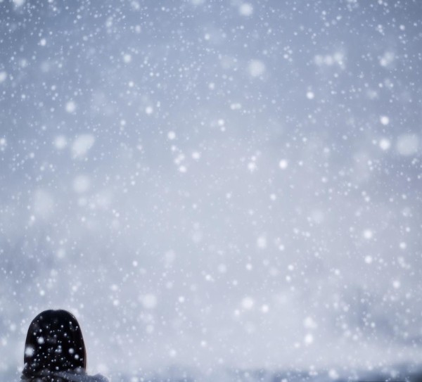 静待寒冬,静待雪后—倩姐信息咨询服务 静待寒冬,静待雪后—倩姐信息咨询服务
